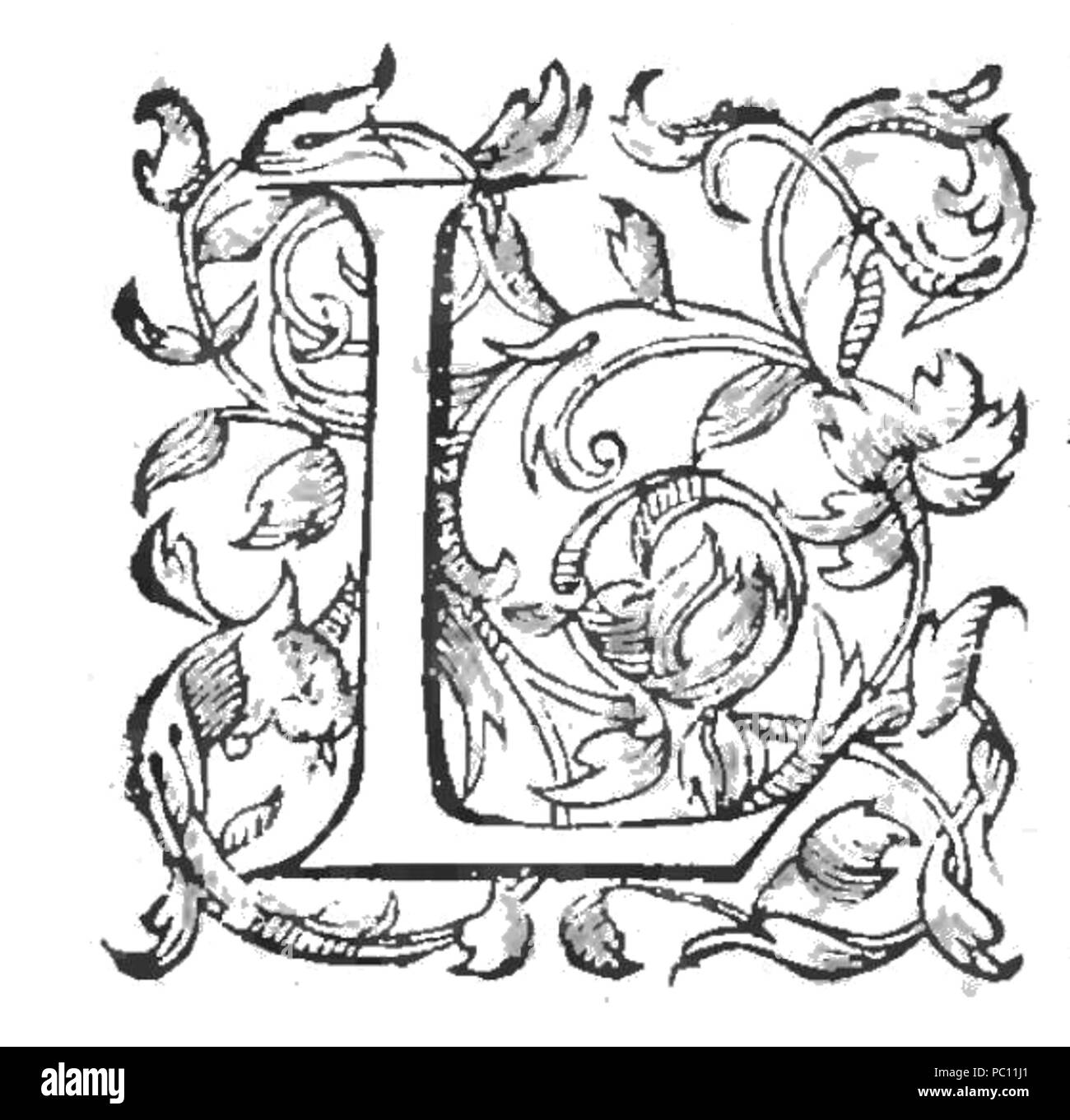 L Lettrine 369 Banque D'Images