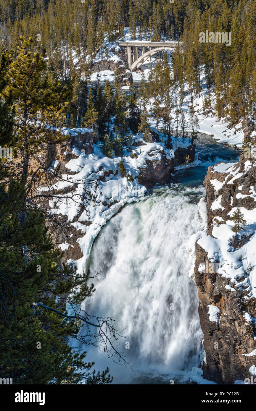 La région de Yellowstone Falls sur la rivière Yellowstone dans le Parc National de Yellowstone dans le Wyoming Banque D'Images