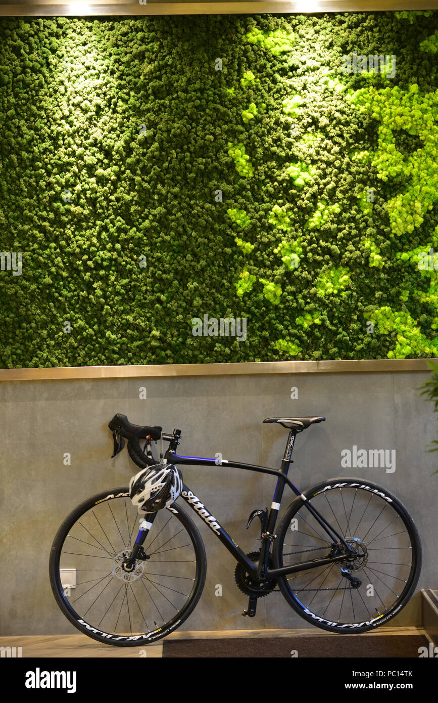 Vélo de course, près de green jardin vertical mur Banque D'Images