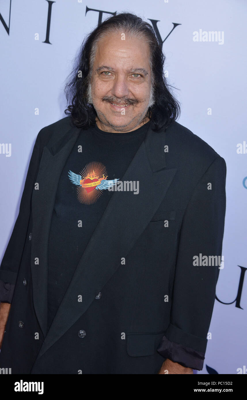 Ron Jeremy 124 à l'unité Première au directeur Guild Of America (DGA) Theatre de Los Angeles. 24 juin 2015.Ron Jeremy 124 ------------- Red Carpet Event, Vertical, USA, Cinéma, Célébrités, photographie, Bestof, Arts, Culture et divertissement, Célébrités Topix fashion / Vertical, Best of, événement dans la vie d'Hollywood, Californie - Tapis rouge et en backstage, USA, Cinéma, Célébrités, cinéma, télévision, Célébrités célébrités musique, photographie, Arts et culture, Bestof, divertissement, Topix trois quarts, vertical, une personne, à partir de l'an , 2015, enquête tsuni@Gam Banque D'Images