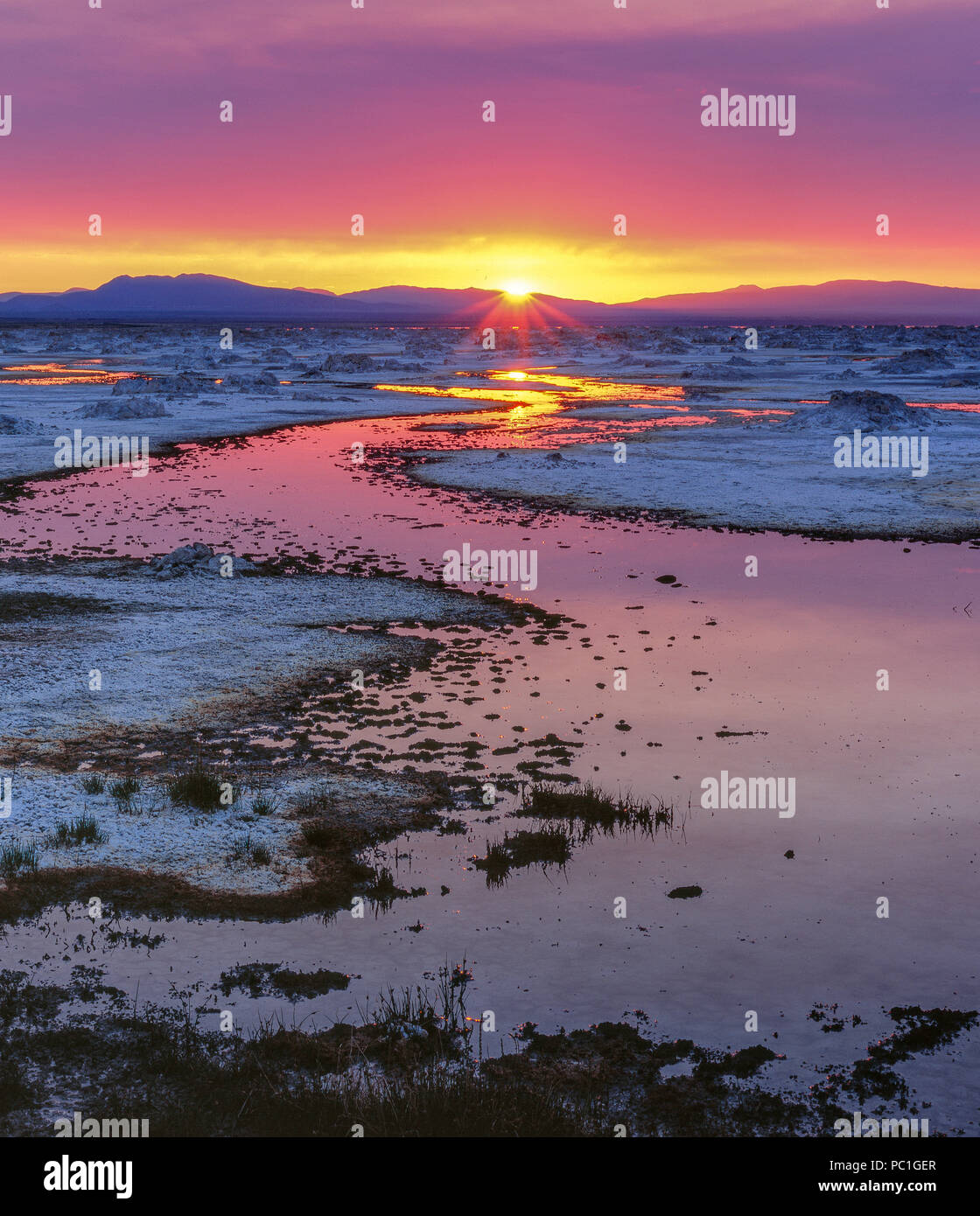 Le lever du soleil, le lac Mono, Mono Basin National Forest Scenic Area, Inyo National Forest, Californie Banque D'Images