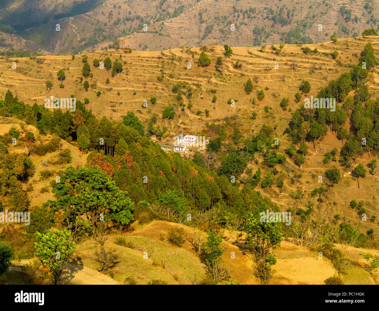 Les champs en terrasses à l'Sanouli village, où Jim Corbett tourné le Panar Kumaon Hills, Maneater, Uttarakhand, Inde Banque D'Images