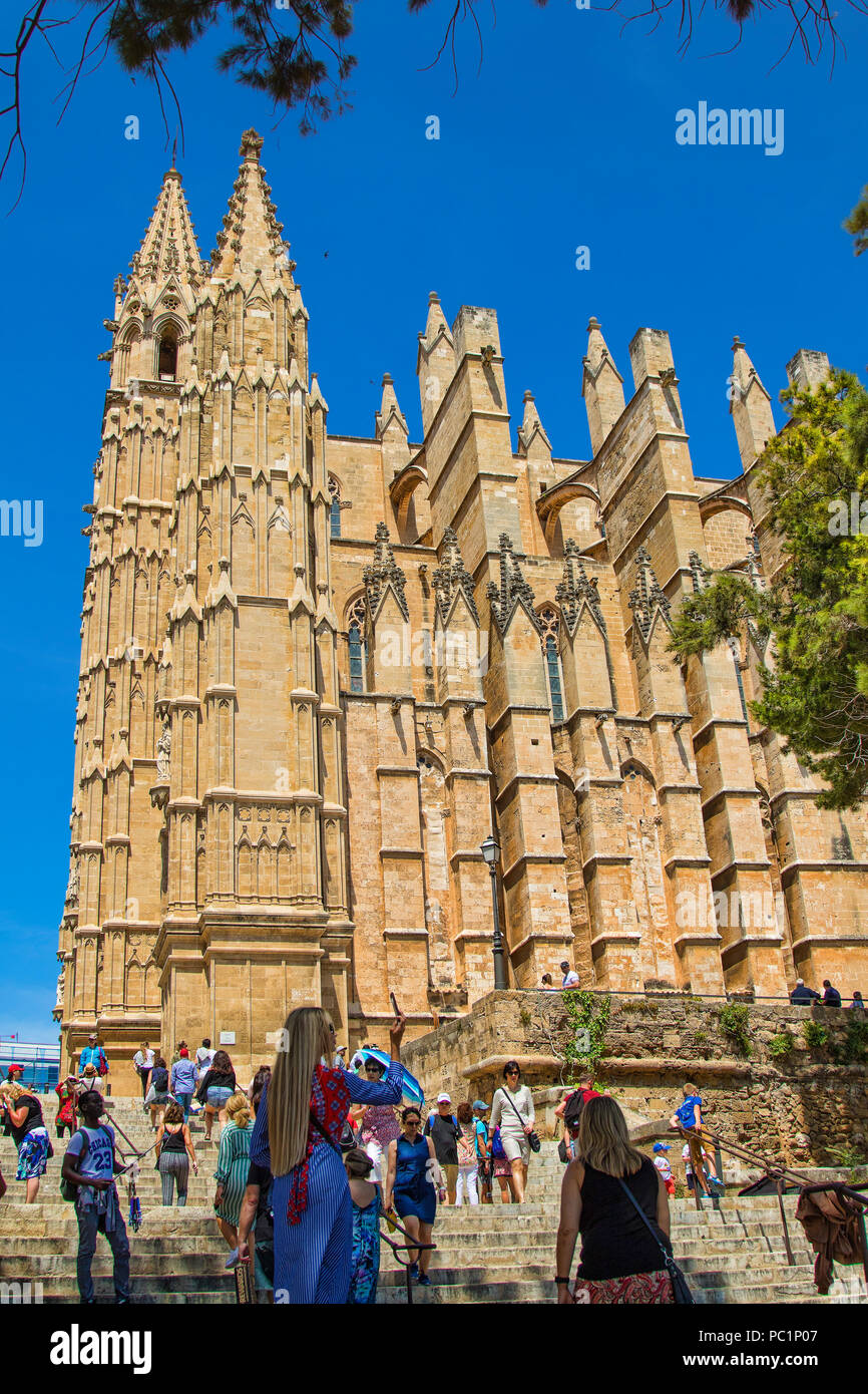 La cathédrale (La Seu) de Palma de Majorque Banque D'Images