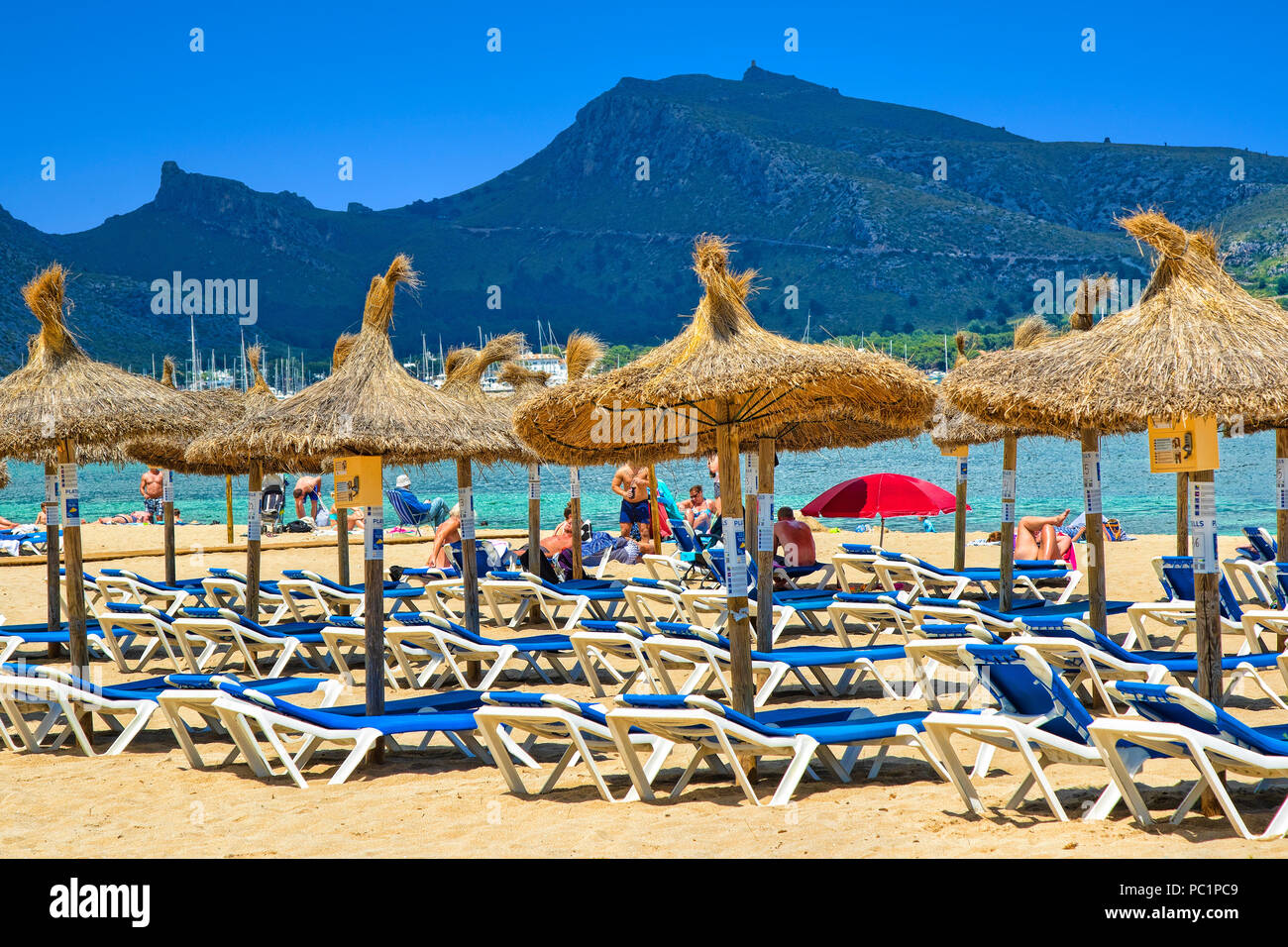 Port de Pollena à Mallorca Banque D'Images