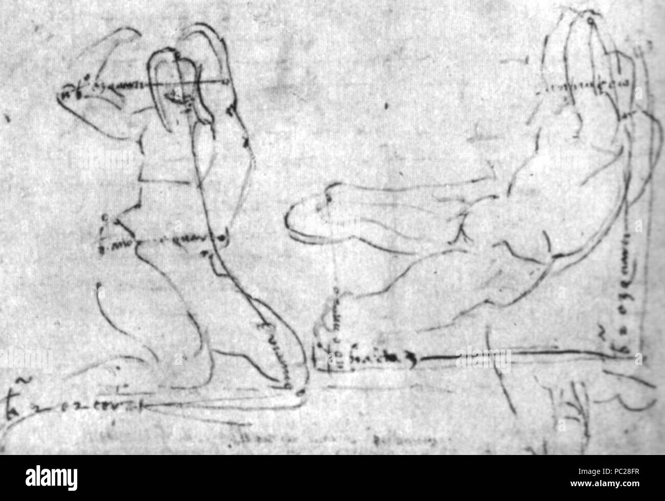 415 Michelangelo, studio par un oid fluviale di blocco nel, amrmo 1520-1525, British museum Banque D'Images