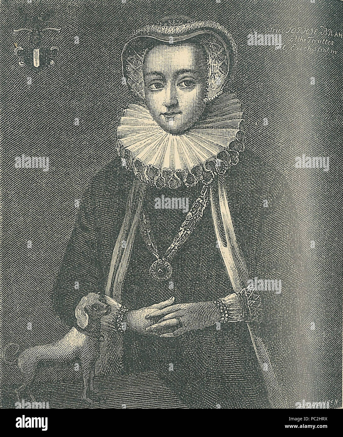 567 Sophie Brahe Banque D'Images