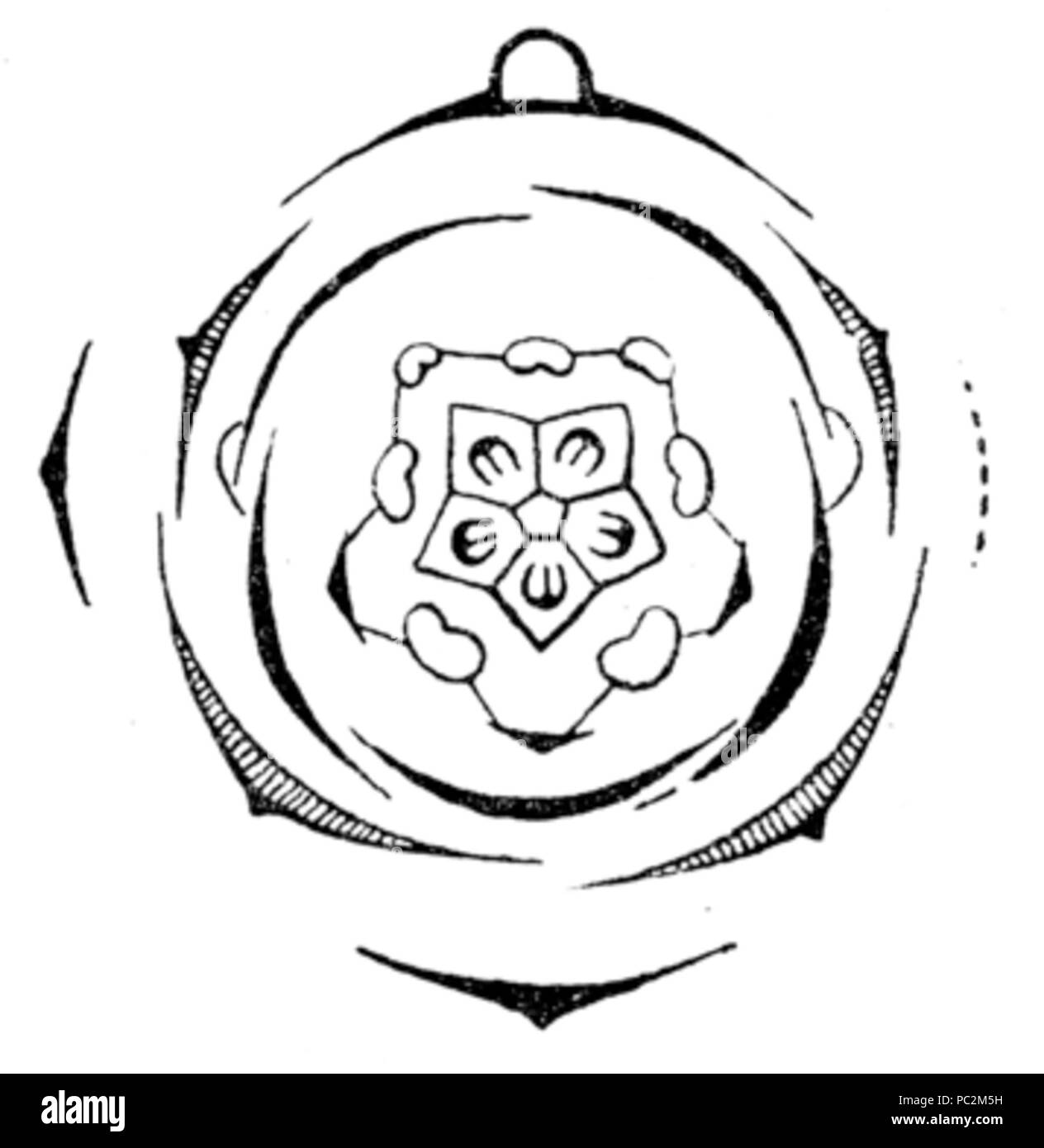 475 Pelargonium zonale flowerdiagram Banque D'Images