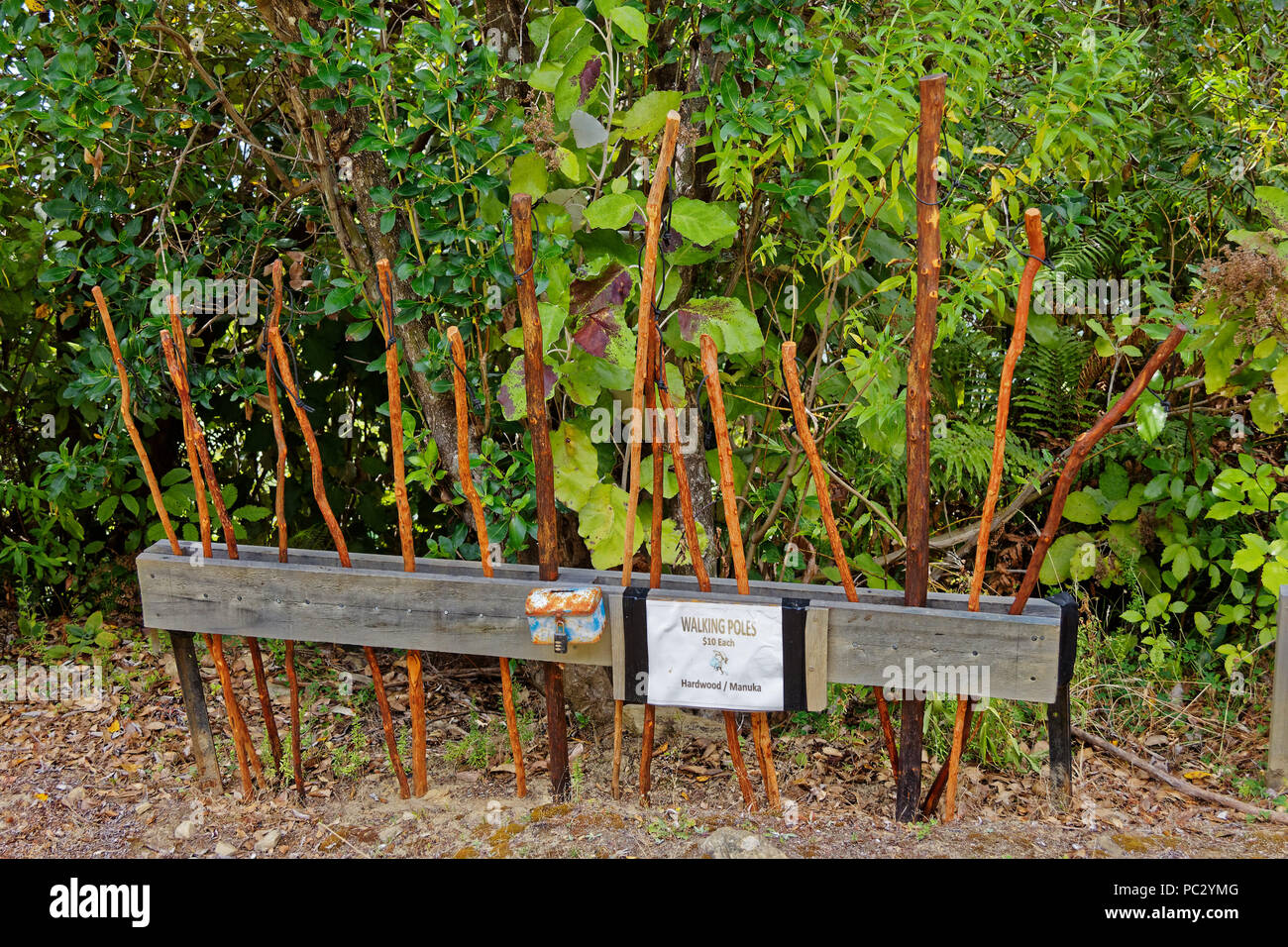 Les bâtons de marche pour la vente sur le Queen Charlotte Track, Nouvelle-Zélande Banque D'Images