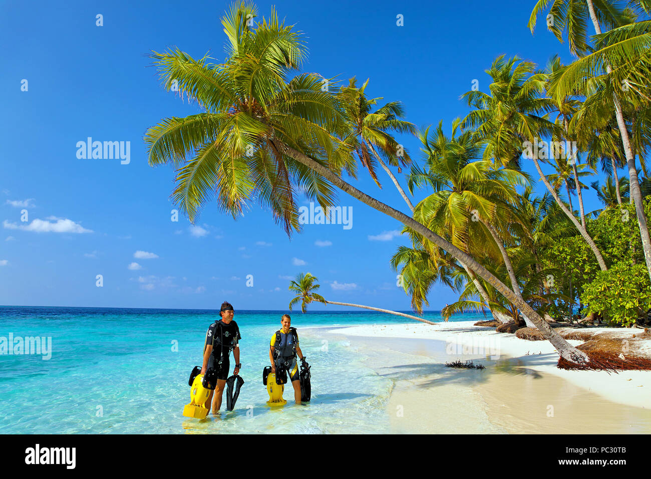 Plongée sous-marine à la plage de Miniloc island, North Nilandhe Atoll, Maldives Banque D'Images