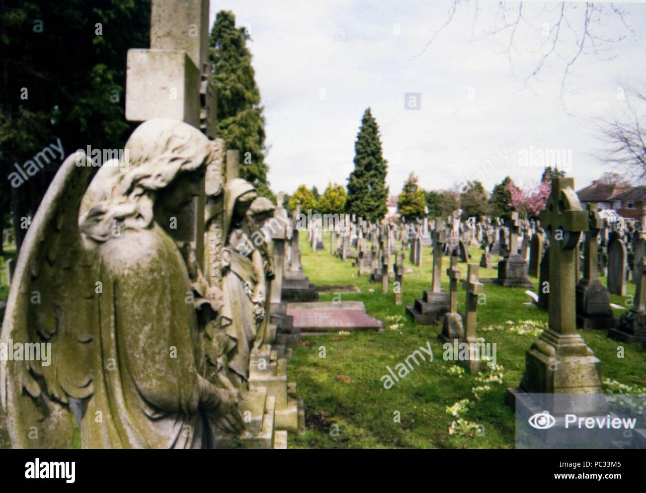 Alamy aperçu de l'image de Brompton Cemetery sur London UK Banque D'Images