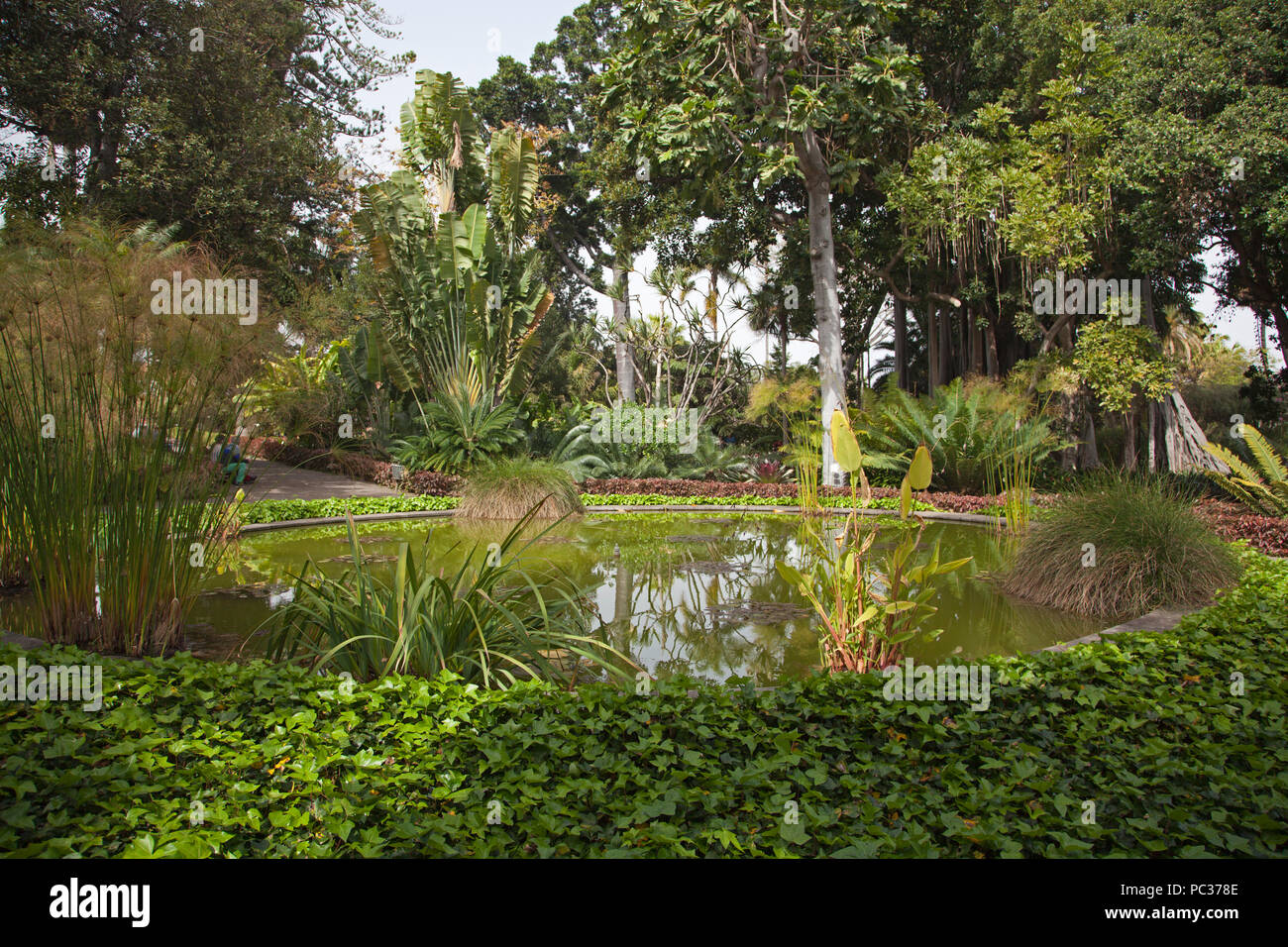 Jardins botaniques de puerto de la cruz Banque de photographies et d