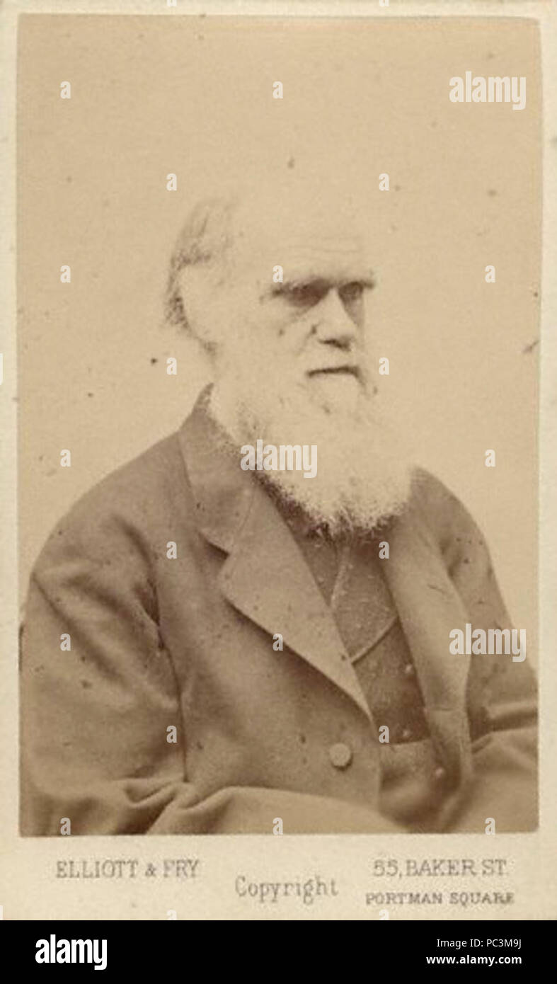 Par Elliott & Fry,photographie,fin des années 1870 153 photographie Charles Darwin par Elliott et Fry, fin des années 1870 Banque D'Images