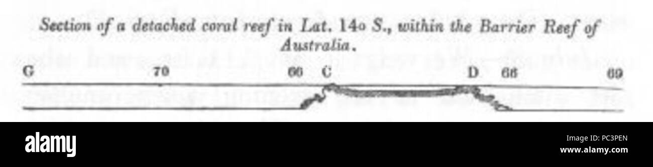 L'article 549 d'un récif de corail (découvertes en Australie) Banque D'Images