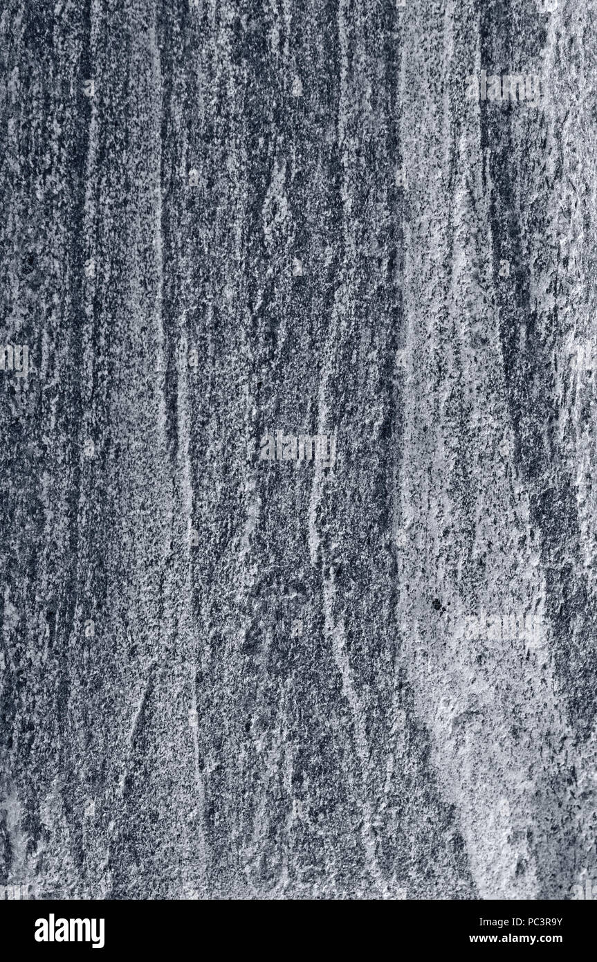 Gneiss migmatitiques de rock de migmatite, pattern light dark gris granit bagués, gros plan macro texture texturé détaillées grand vertical gris argent Banque D'Images