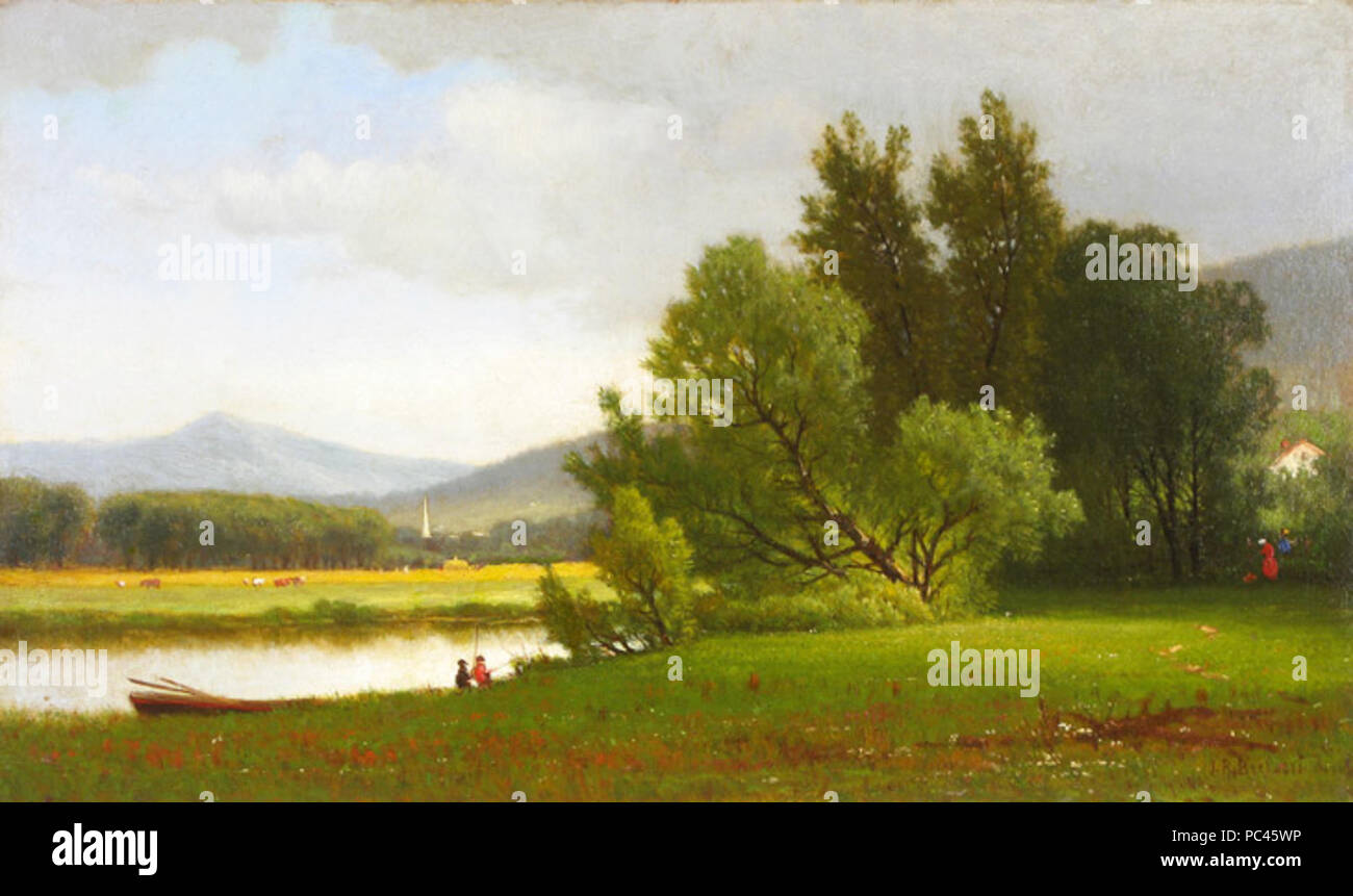 581 Summer Meadow Banque D'Images