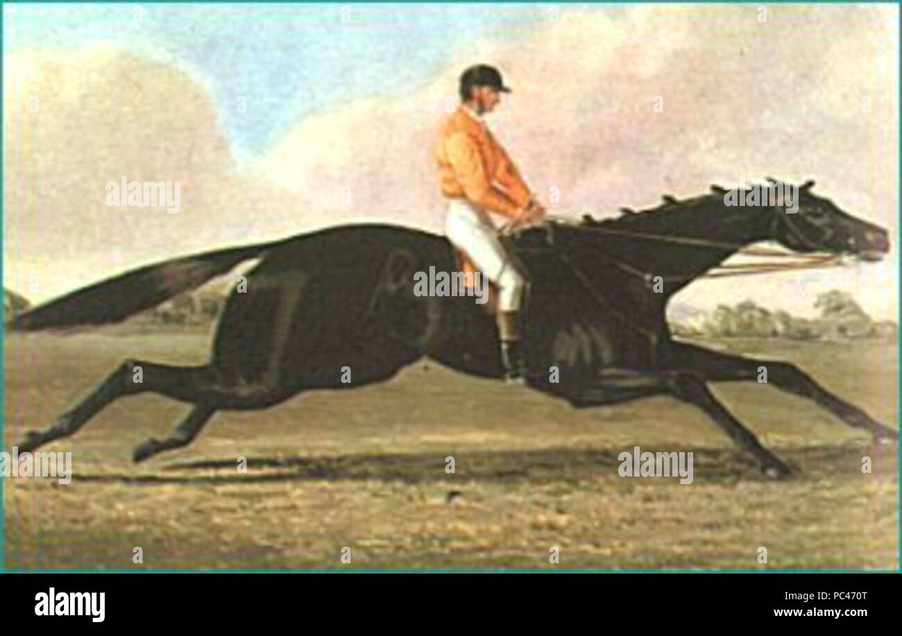 592 La Barb Banque D'Images