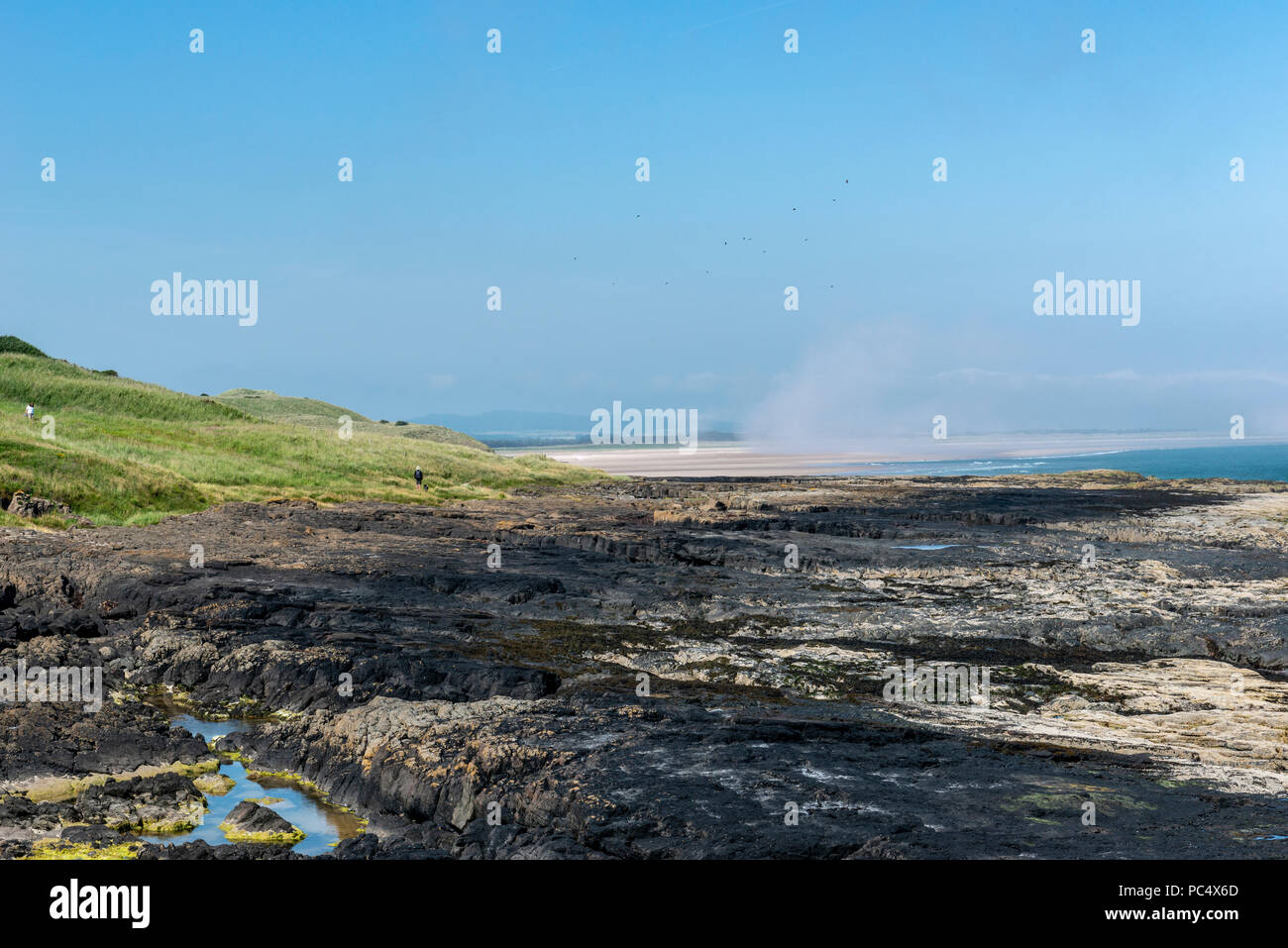 Sea Mist, Budle Bay, Northumberland, Angleterre Banque D'Images