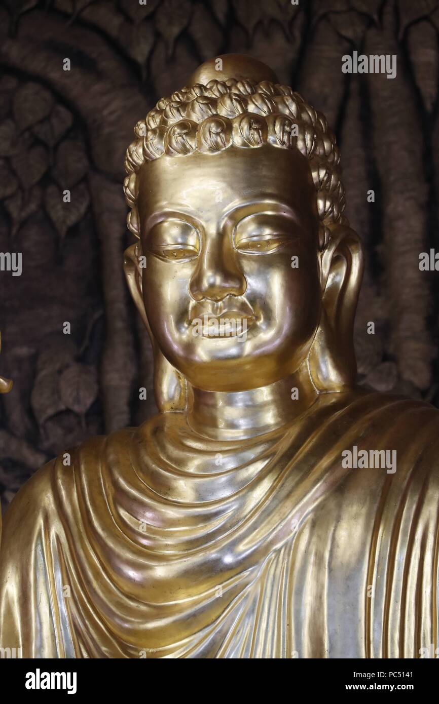 Chua Ho Quoc pagoda. Statue du Bouddha Shakyamuni doré. Phu Quoc. Le Vietnam. Dans le monde d'utilisation | Banque D'Images