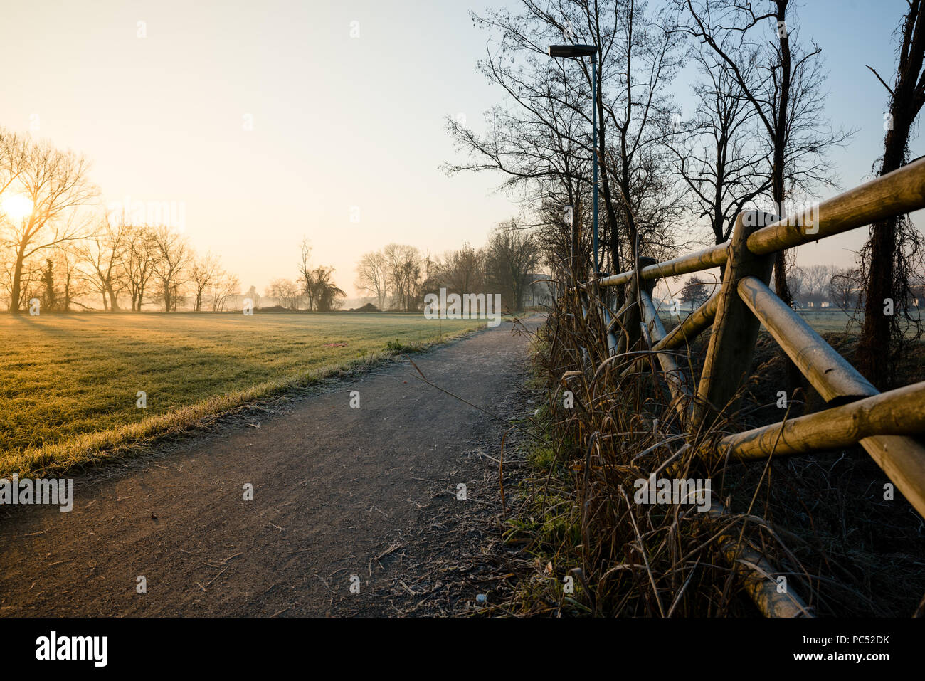 Arbres d'hiver au lever du soleil dans la campagne du nord de l'Italie Banque D'Images