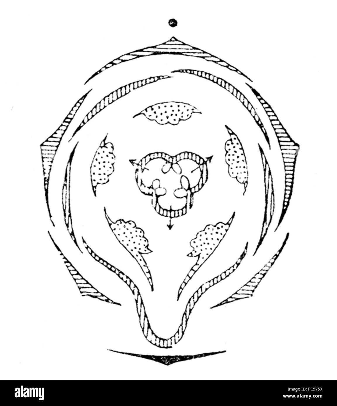 Alto 634 flowerdiagram Banque D'Images