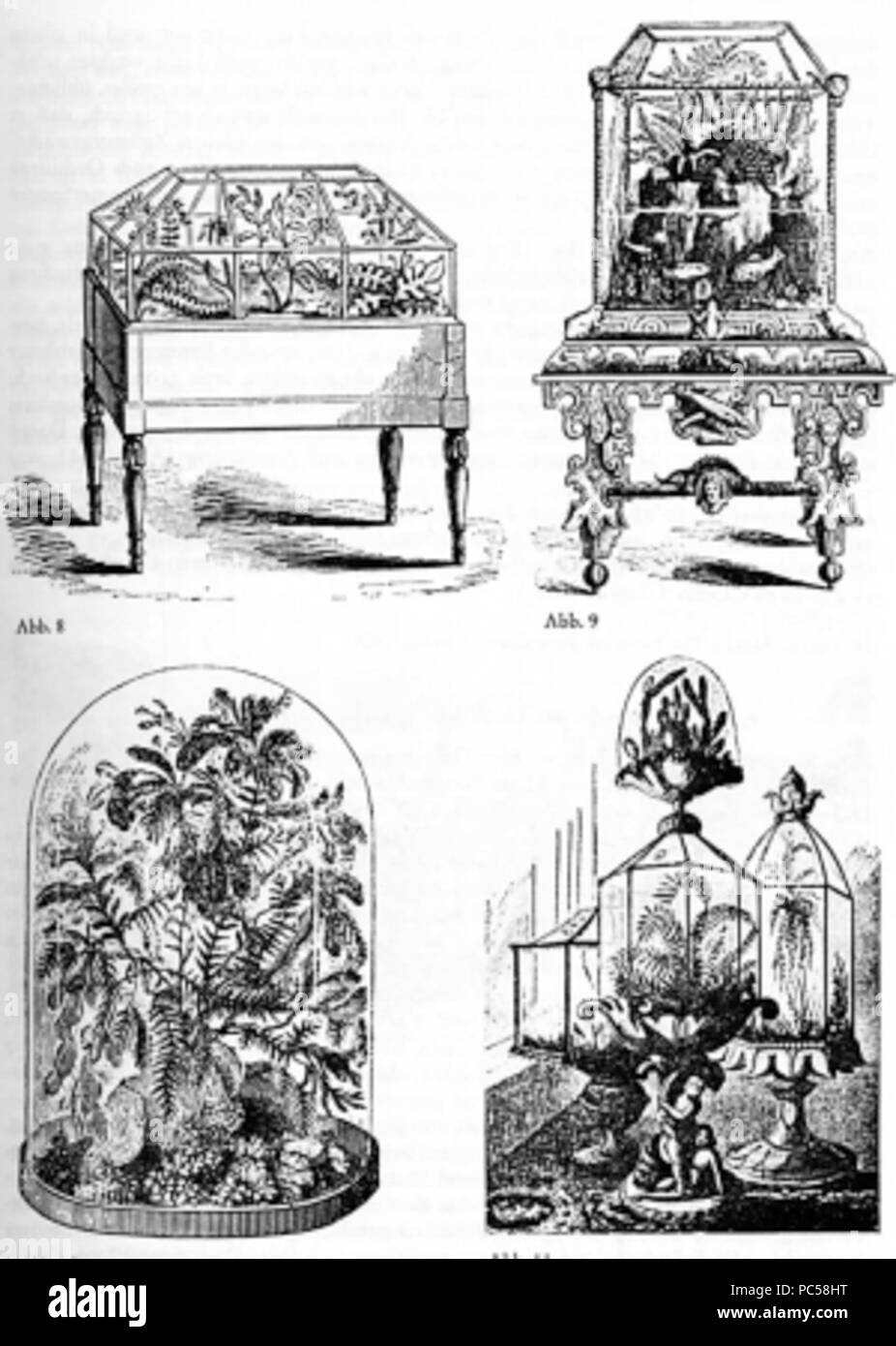 642 cas Wardian Banque D'Images