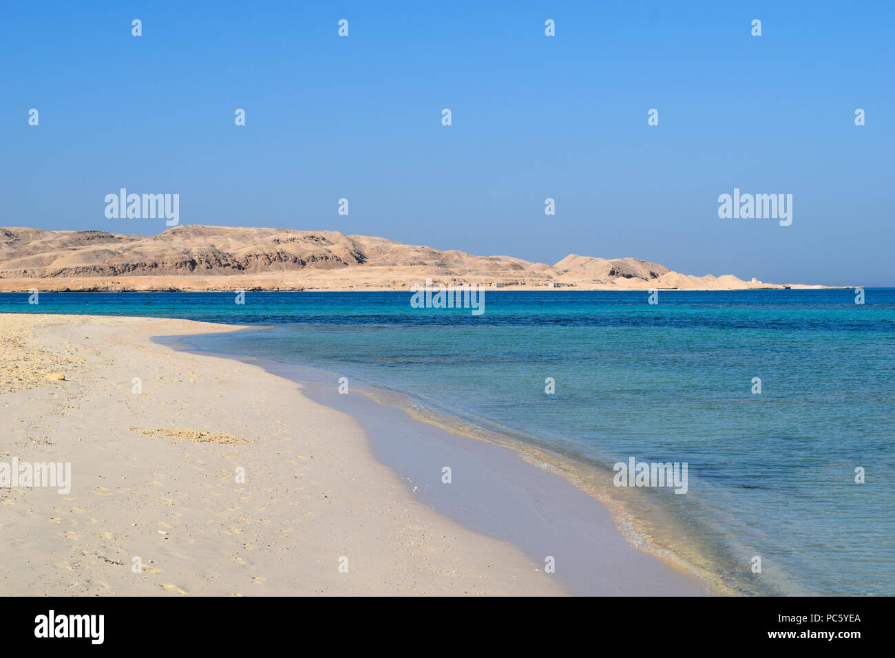 Plage idyllique de l'île de Mahmya avec de l'eau turquoise, l'Égypte Banque D'Images