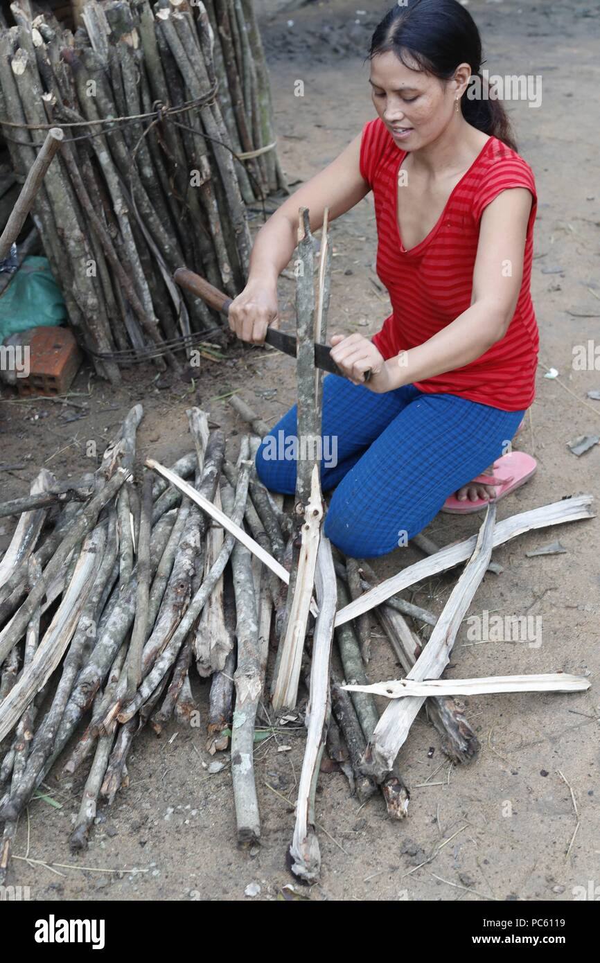 Ba Na (Bahnar) groupe ethnique. Coupe femme le bois pour faire du feu. Kon Tum. Le Vietnam. Dans le monde d'utilisation | Banque D'Images