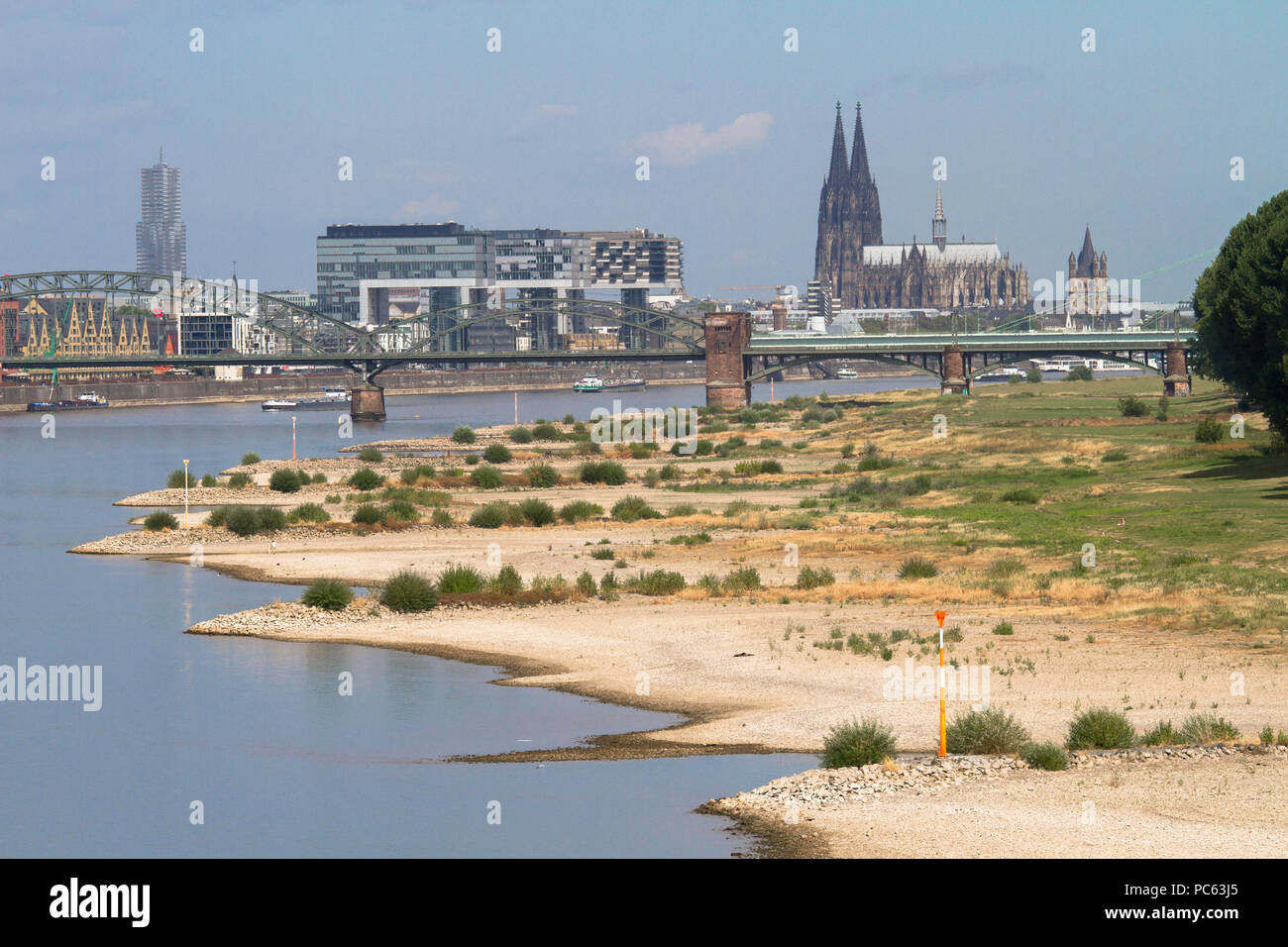 Cologne, Allemagne, le 31 juillet 2018, l'eau du Rhin, rives du Rhin à Cologne-Poll, vue de la Rheinau Harbour et de la cathédrale. Credit : Joern Sackermann/Alamy Live News Banque D'Images