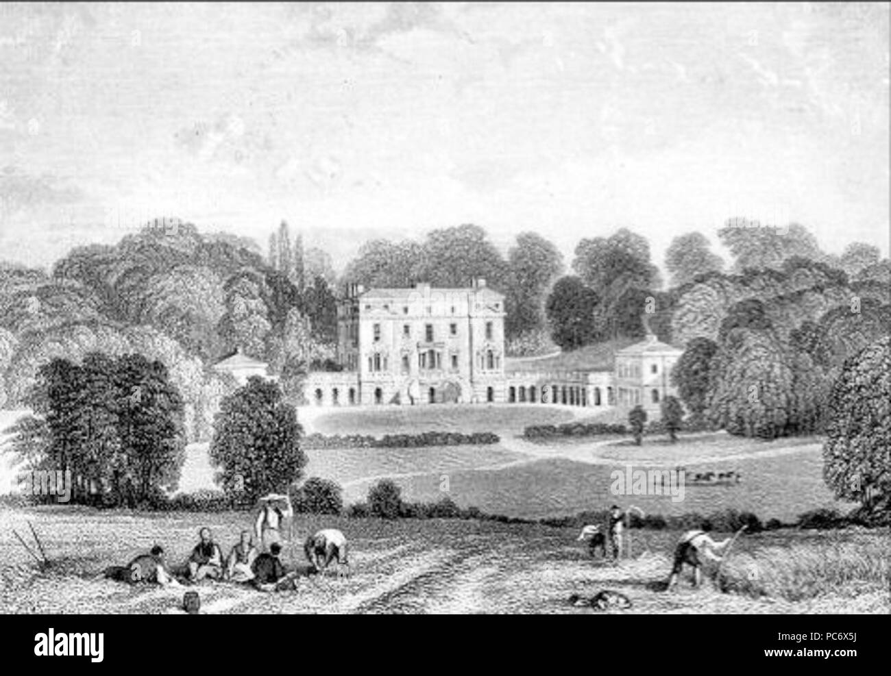 653 Woodcote Park Banque D'Images