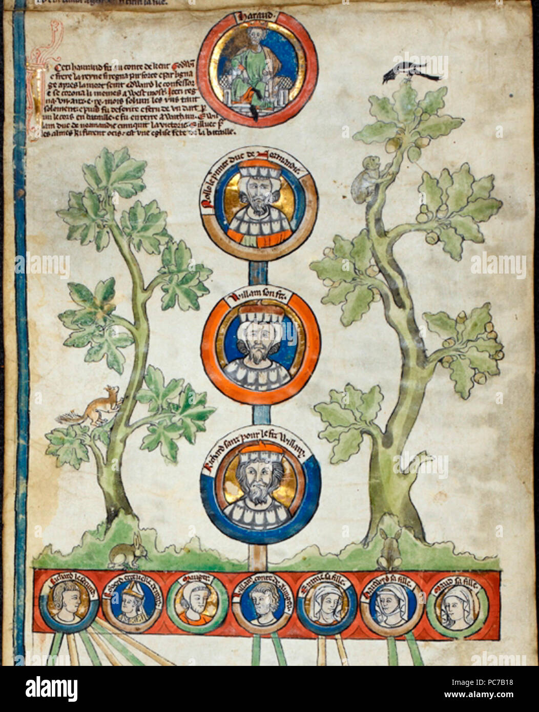 L'enregistrement 237 rouleau généalogiques ascendance normande de Guillaume le Conquérant , Angleterre (East Anglia), ch. 1300-1307, Royal 14 B vi Banque D'Images