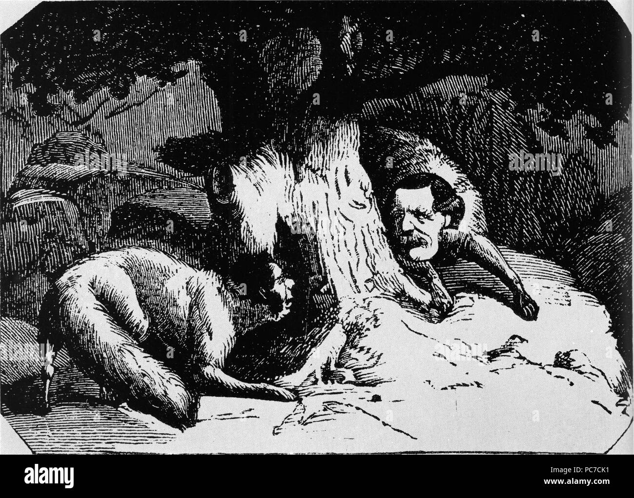 533 Rävarna Manderström och Hall Banque D'Images