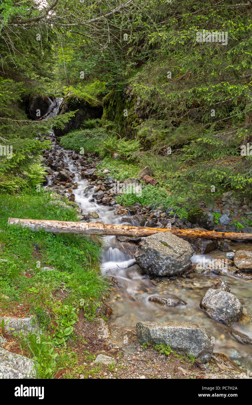 Petite cascade sur le Taser Sentier de montagne au-dessus de Scena près de Meran, le Tyrol du Sud Banque D'Images