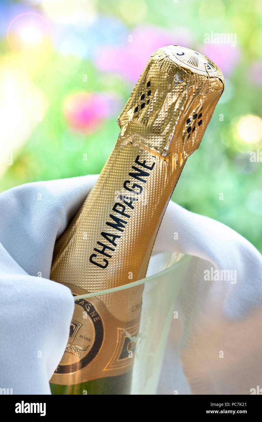Bouteille de champagne en cristal glacé du refroidisseur de vin en fin d'après-midi d'été de luxe en plein air lumière sunburst situation de l'événement Banque D'Images