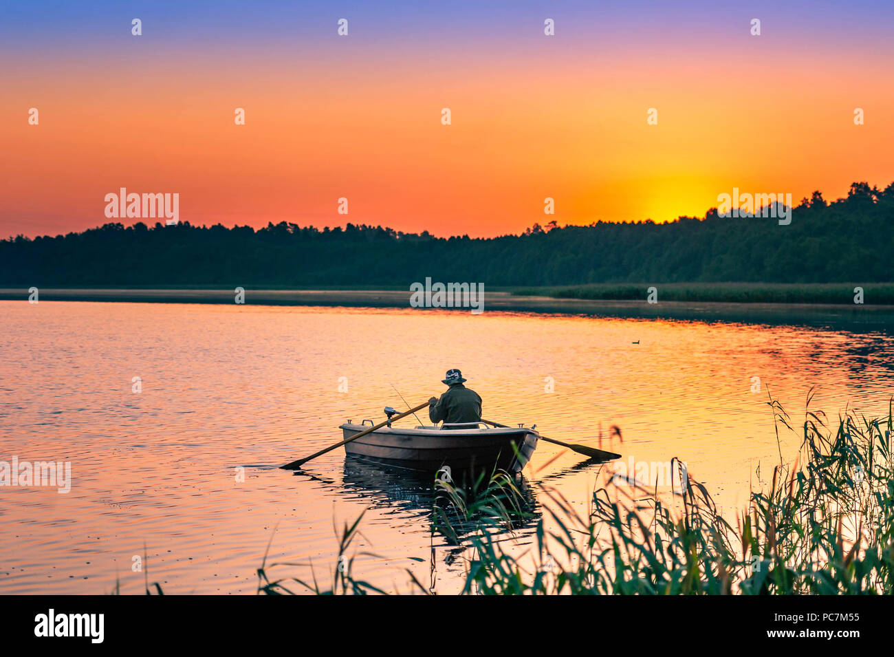 L'homme poissons dans les lacs de la Mazurie Banque D'Images