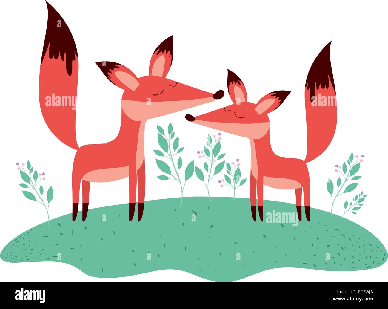 Couple de renards sauvages dans le domaine Illustration de Vecteur
