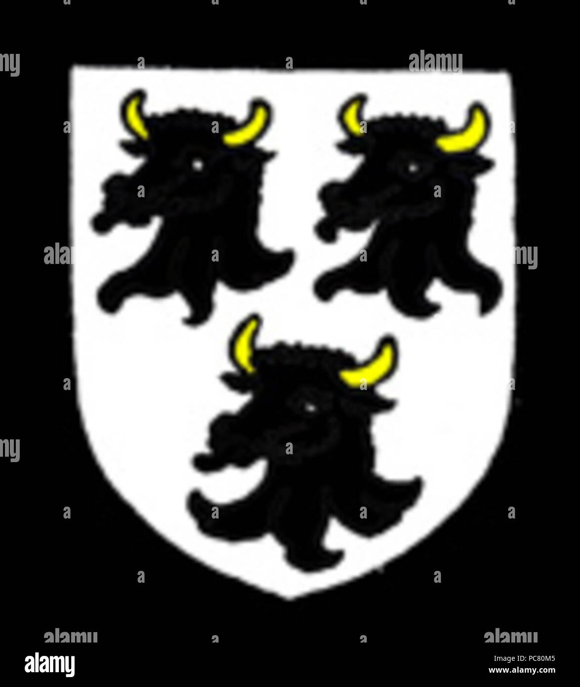 600 Les armoiries de la famille Skeffington Banque D'Images