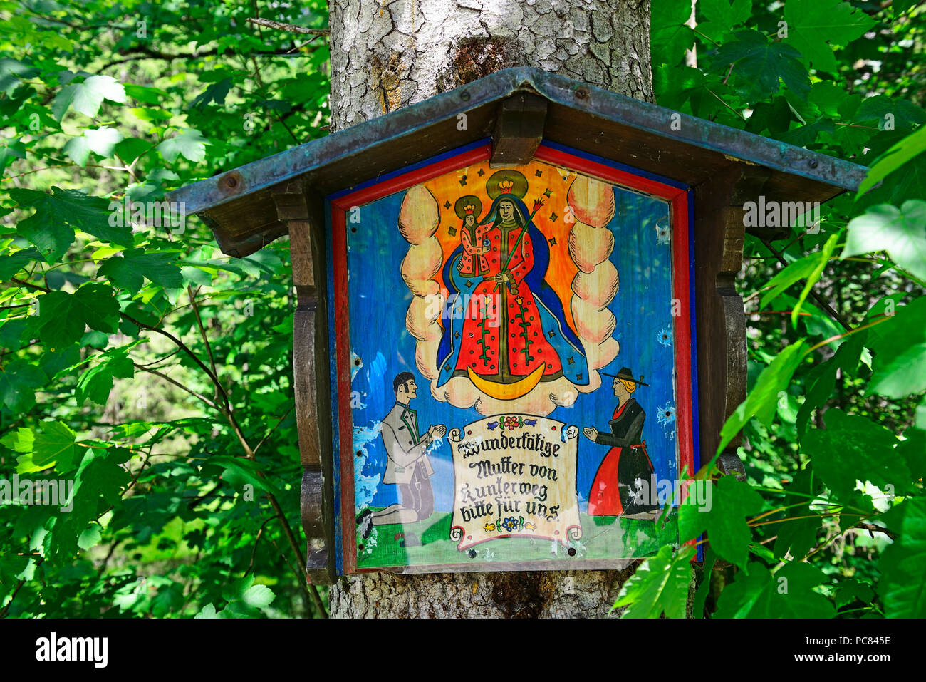 Route de culte de la mère de travail-miracle me Kunterweg Baum, Ramsau, Hintersee, Berchtesgaden-campagne, Haute-Bavière Banque D'Images