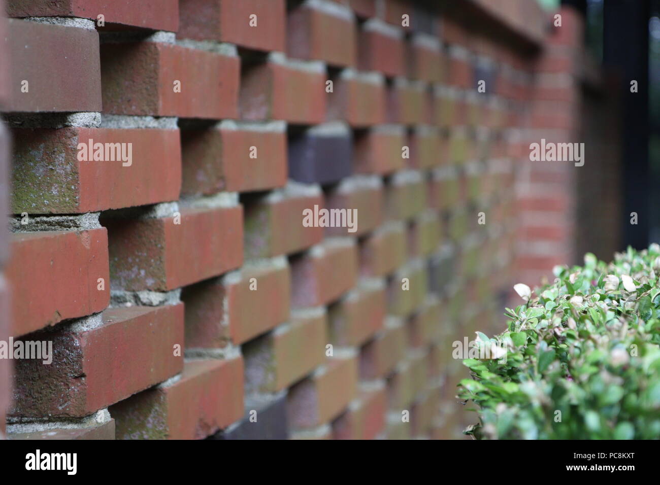 Mur de brique avec style Banque D'Images