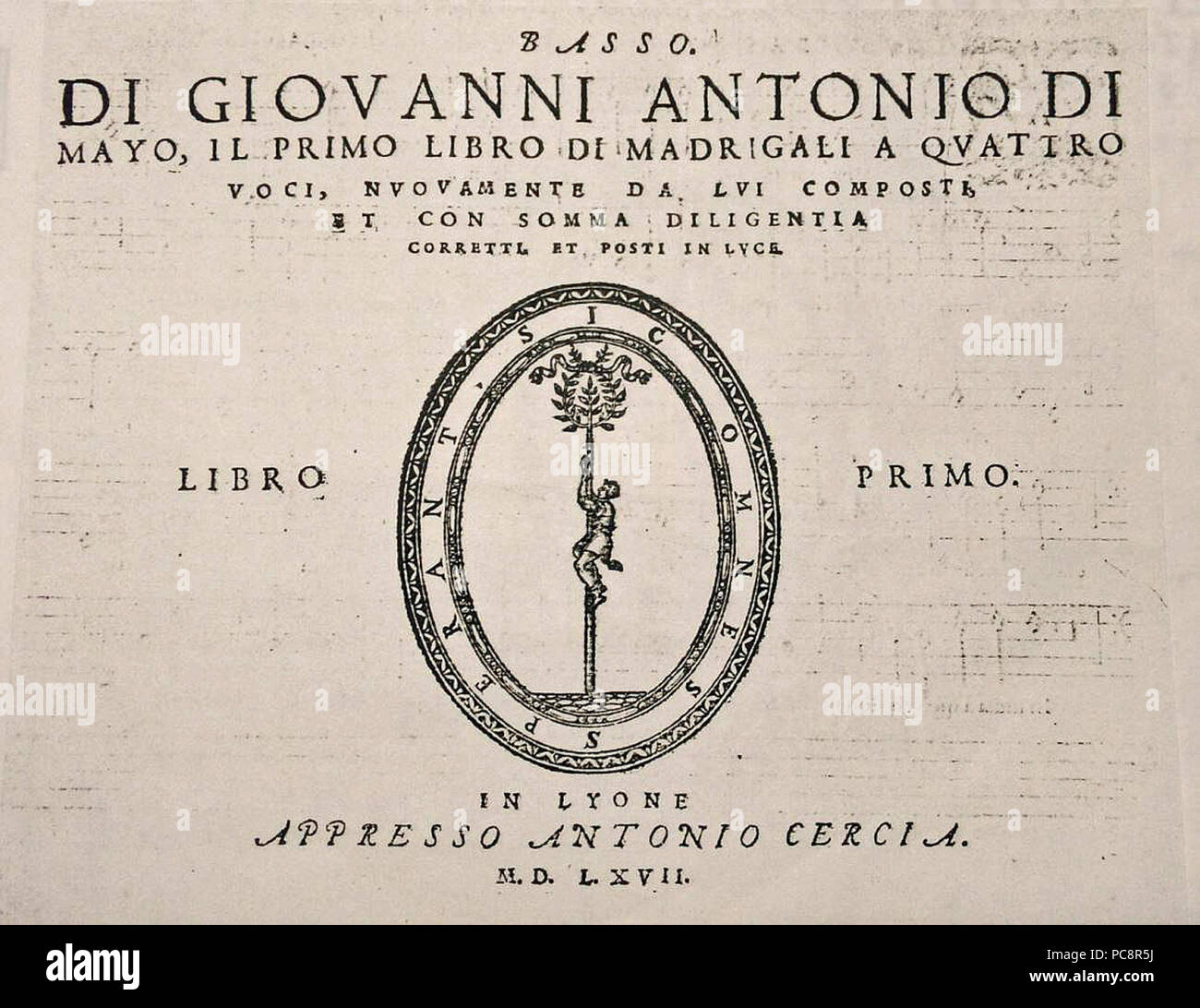 164 1567 DiMayo Banque D'Images