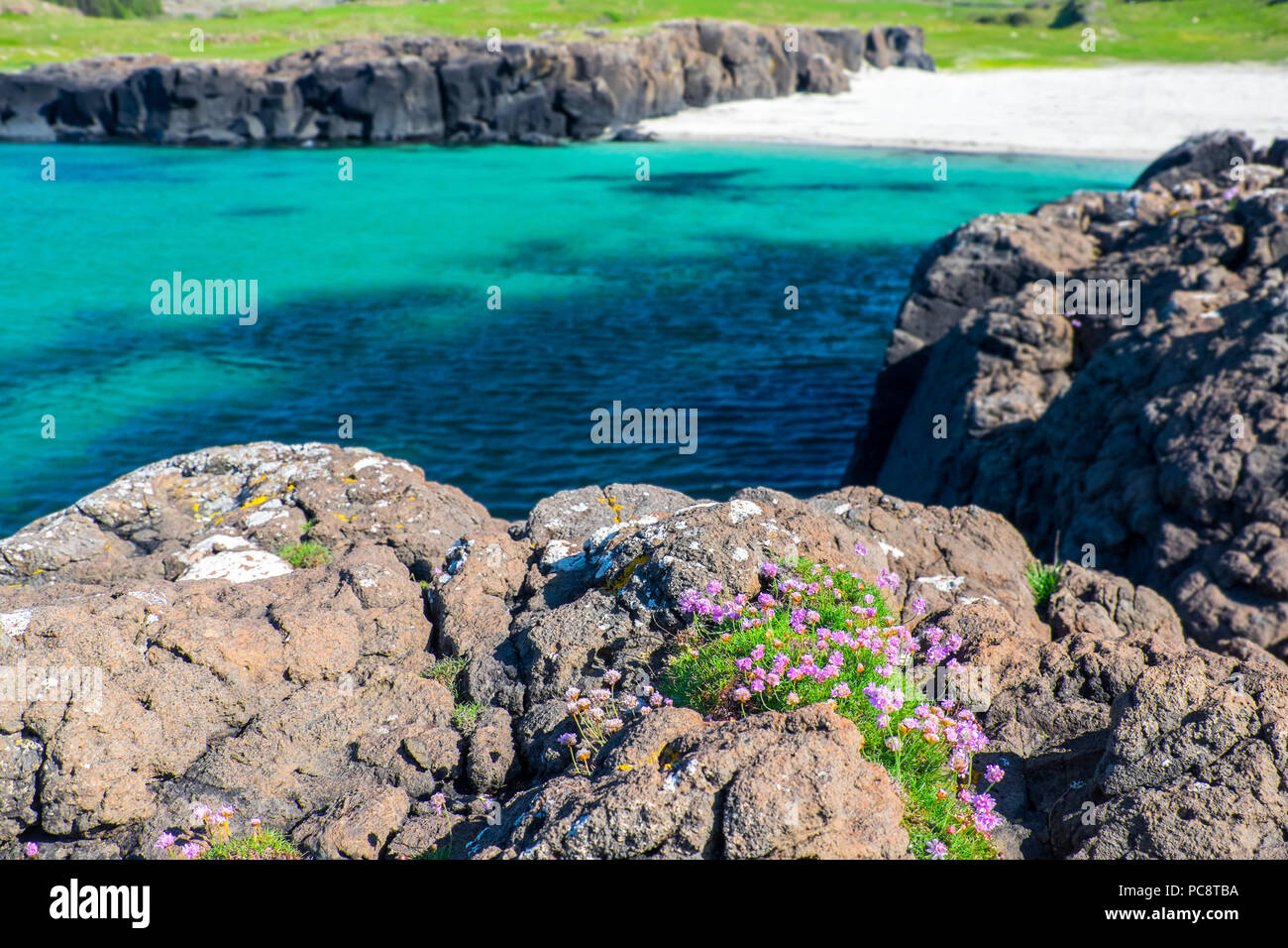 Langamull beach / Bay sur la côte nord de l'île de Mull dans les Hébrides écossaises Banque D'Images
