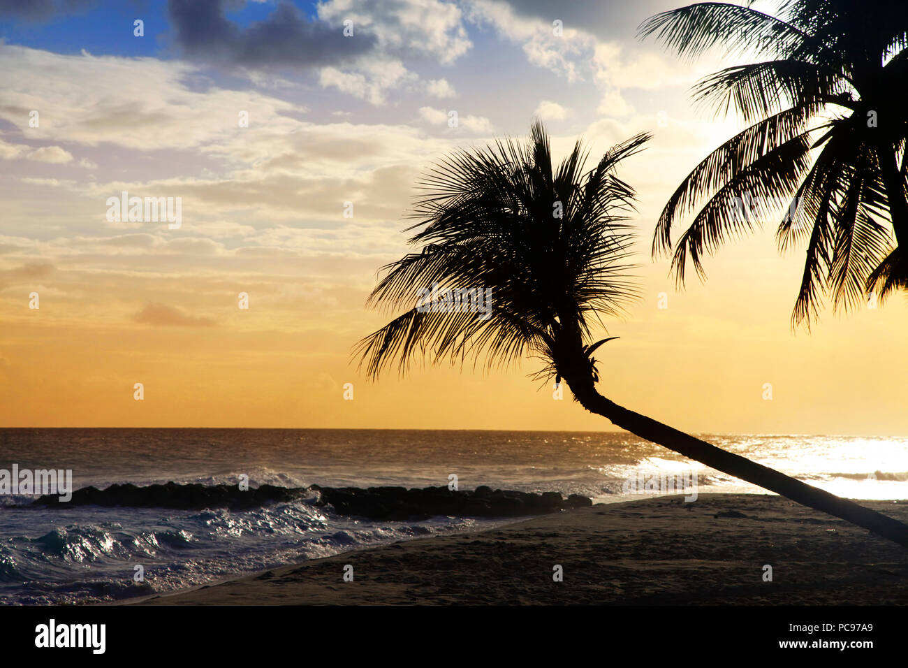 Vue de nice plage tropicale avec palm sur le coucher du soleil. La Barbade Banque D'Images