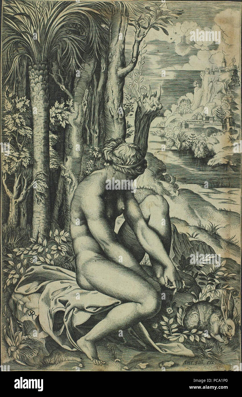 60 Marco Dente - Vênus ferida por um de espinho roseira Banque D'Images