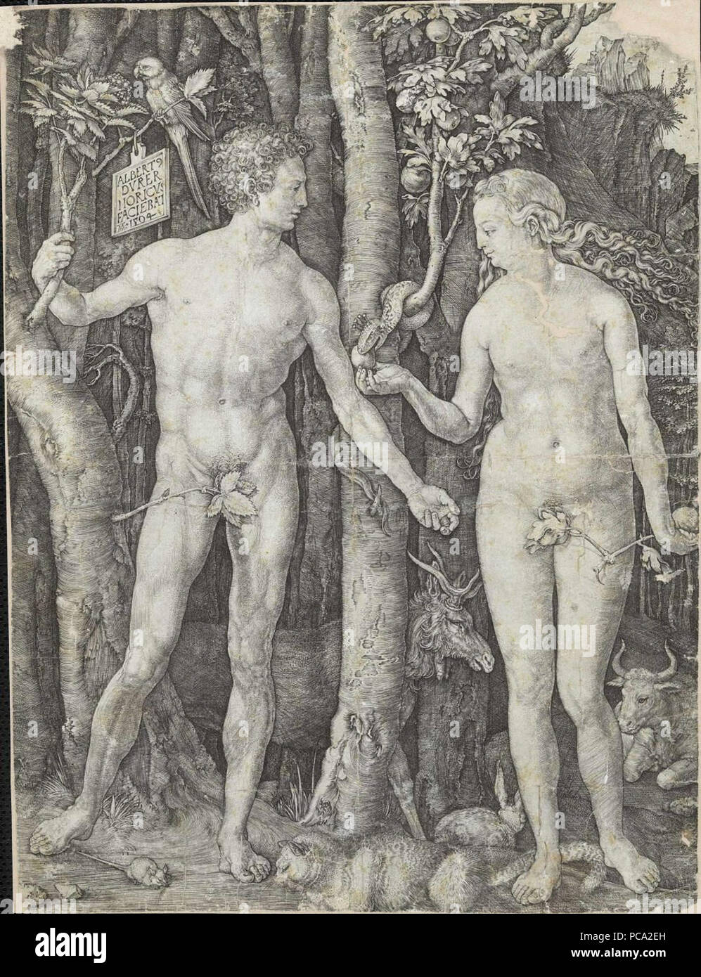 5 Albrecht Dürer - Adão e Eva Banque D'Images