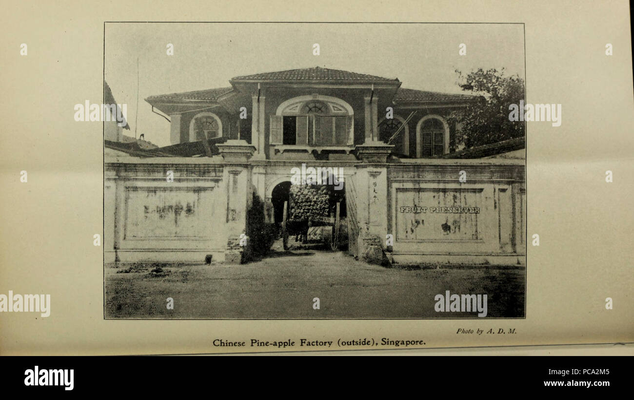 Bulletin agricole du détroit et États malais fédérés. Nouvelle série Banque D'Images