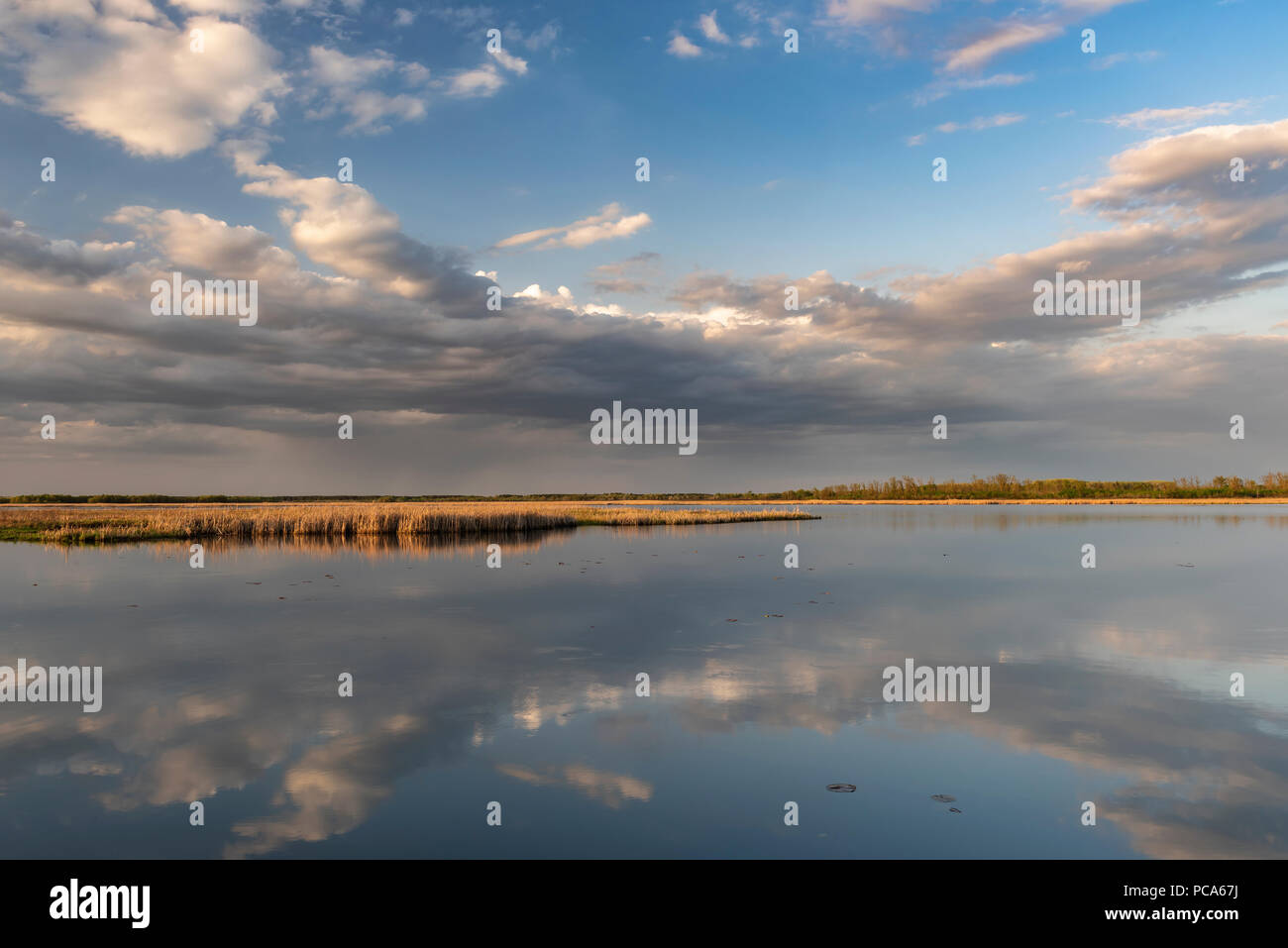 Des nuages de pluie au coucher du soleil sur Crex Meadows Wildlife Management Area, mai, WI, États-Unis d'Amérique, par Dominique Braud/Dembinsky Assoc Photo Banque D'Images