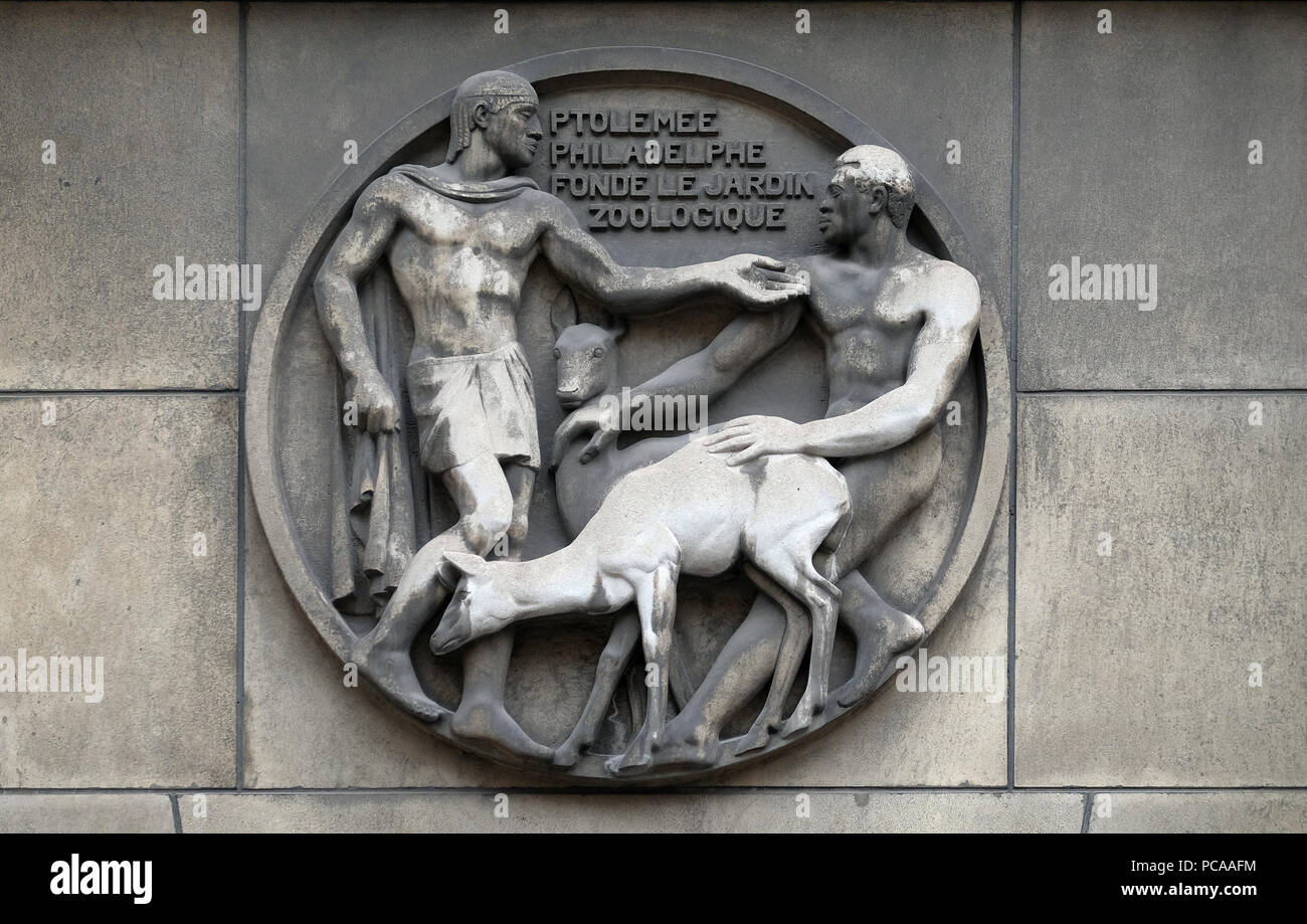 Ptolémée naturelle Philadelphe fonde le zoo. L'allégement de la pierre à l'édifice de la Faculté de médecine de Paris, France Banque D'Images