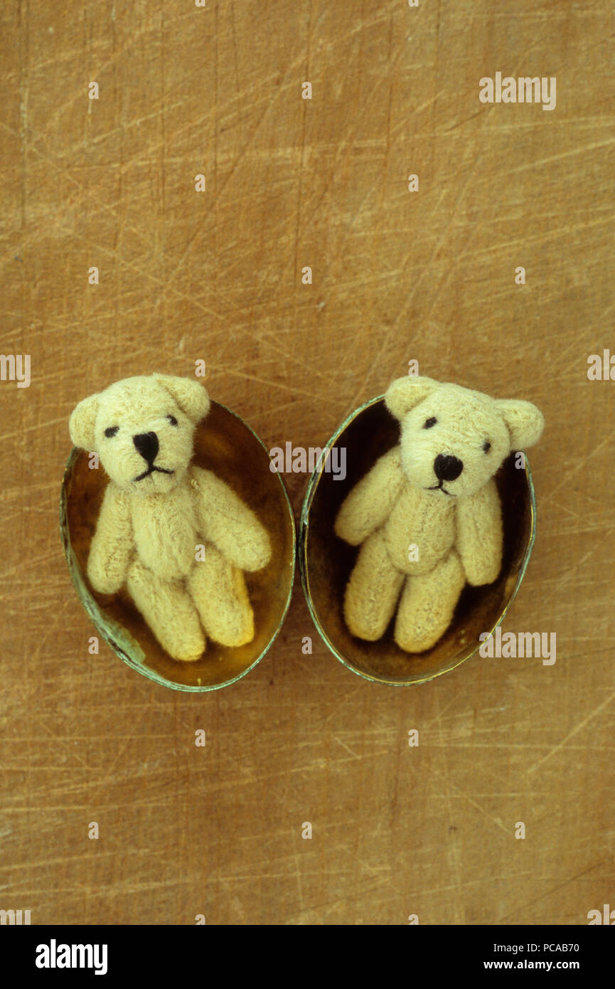 Deux petits ours blanc couché dans deux moitiés de laiton en forme d'oeuf comprimé fort sur bois rayé Banque D'Images
