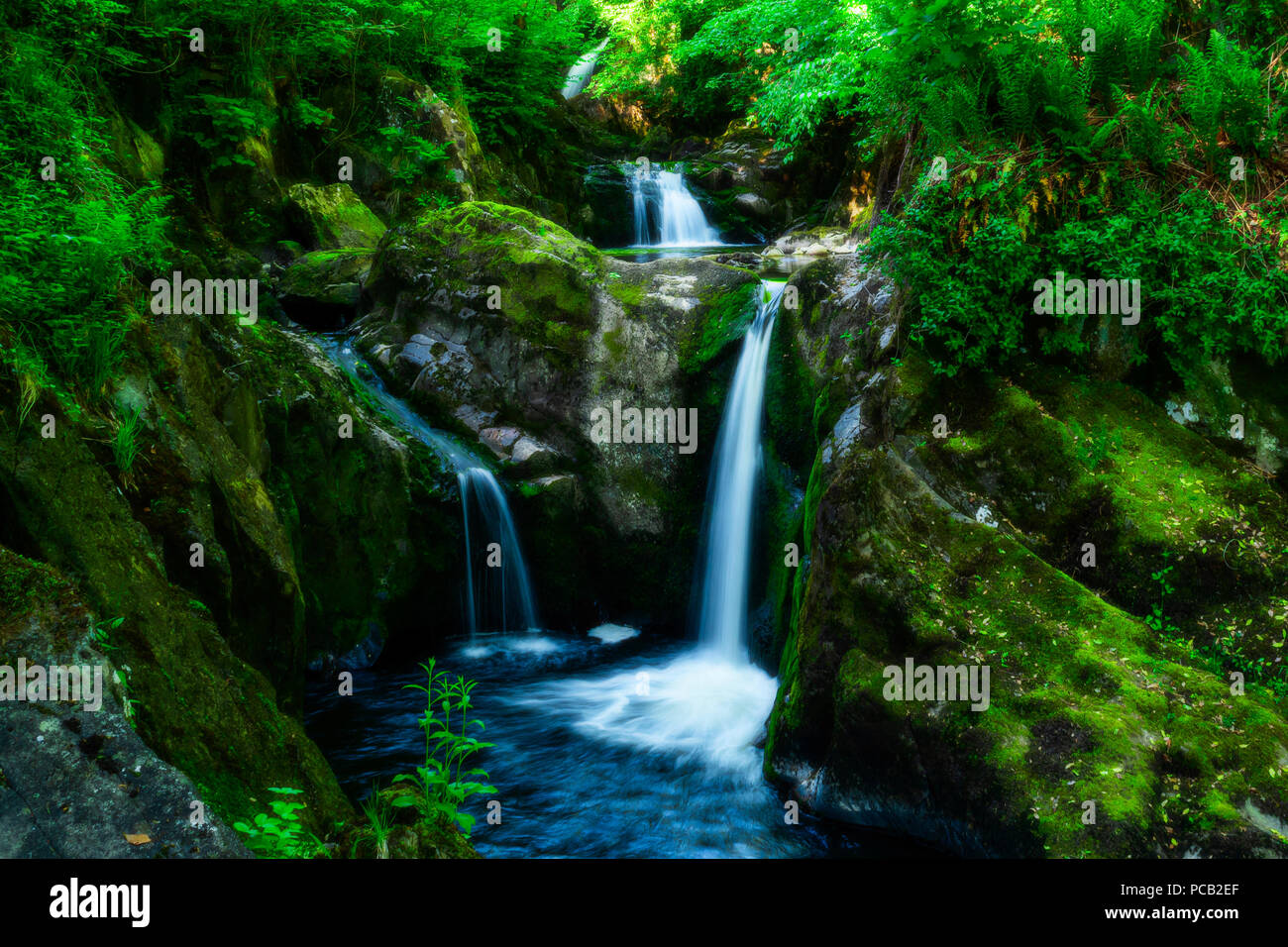 Chutes d'Ingleton, Yorkshire Dales National Park Banque D'Images