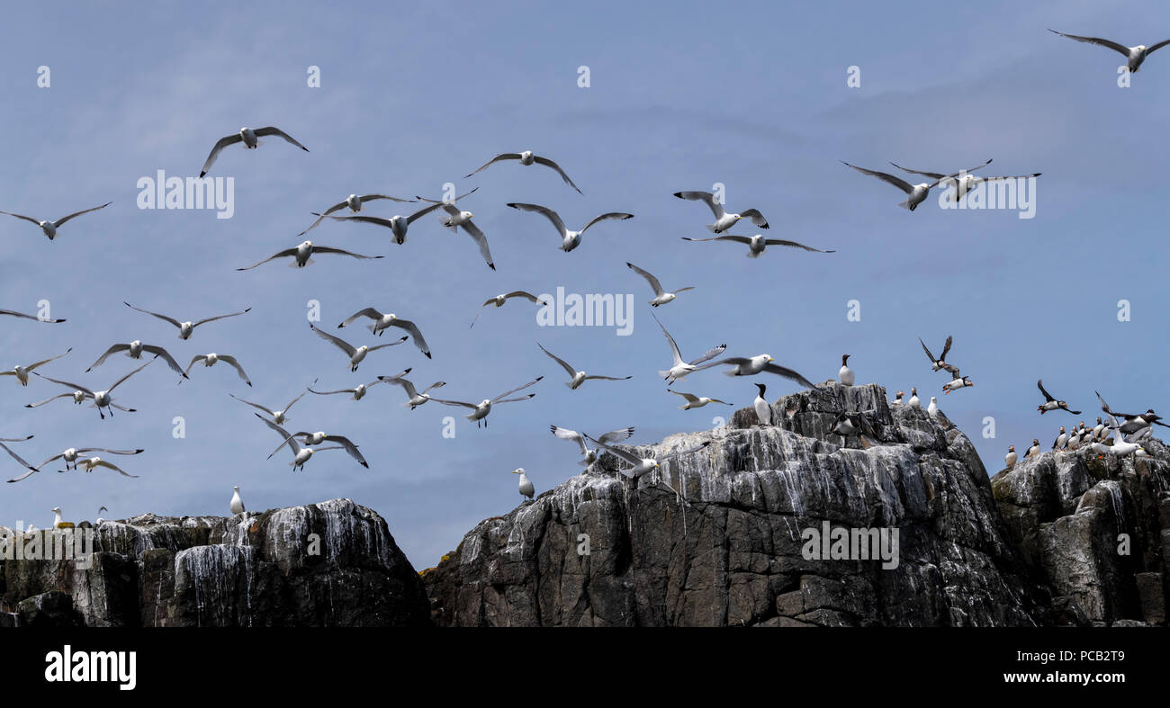 Temps de vol Banque D'Images