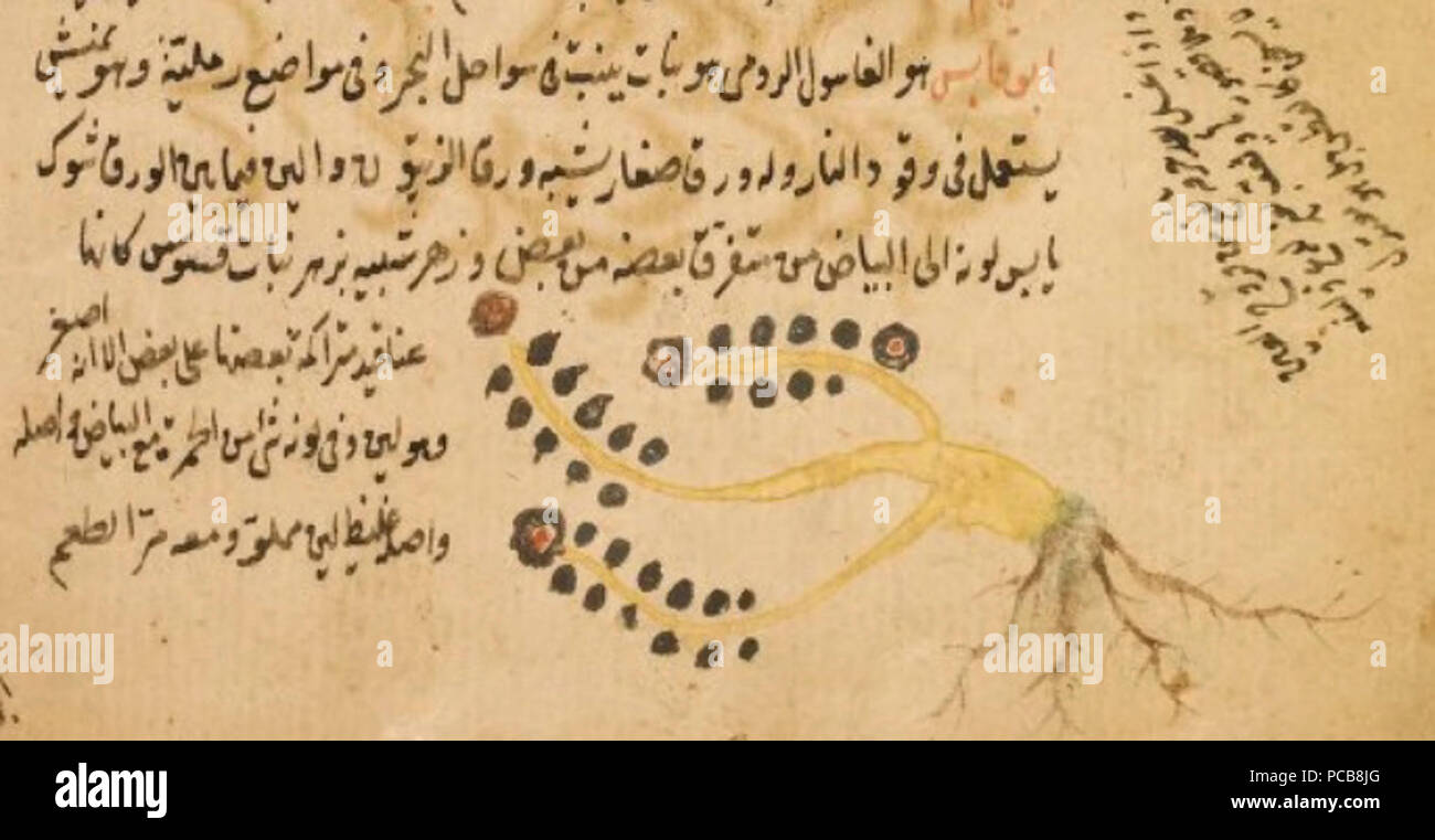 Al Ghasul Arrumi - Arabe manuscrit. Banque D'Images